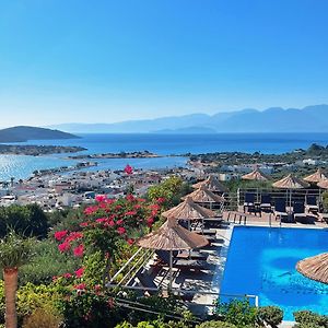 Elounda Heights (Adults Only)